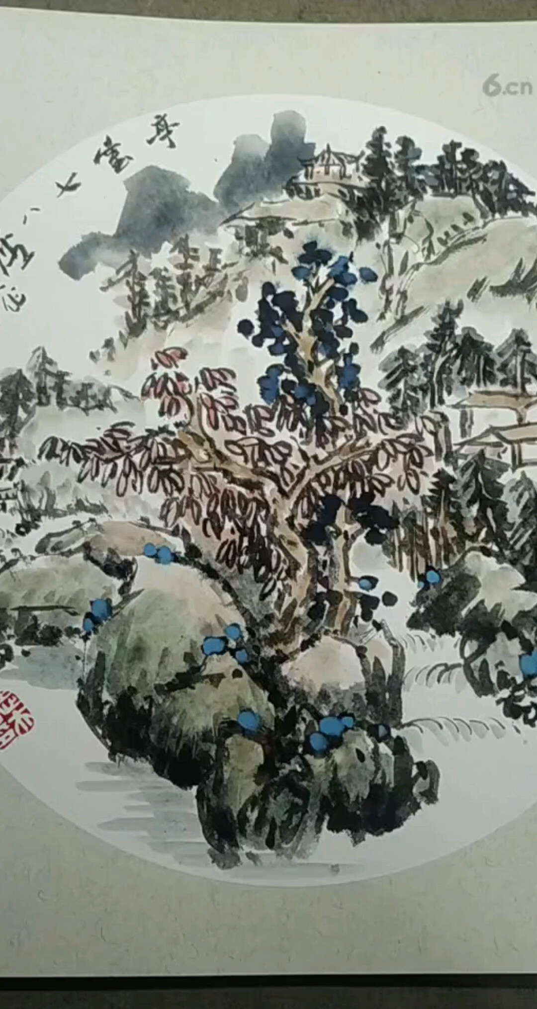 我的直播作品