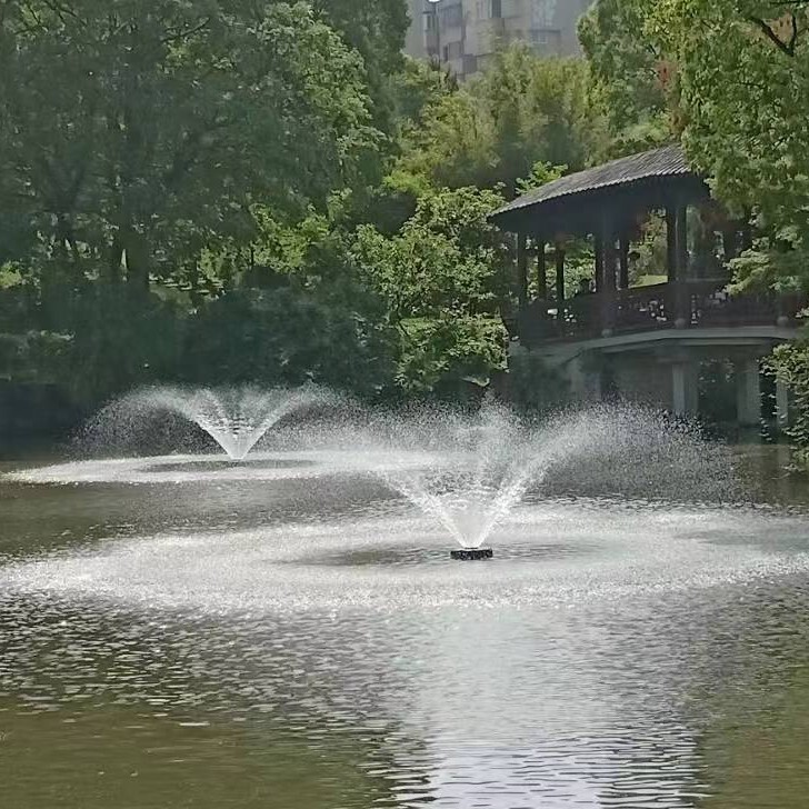 🦆🦆🦆🦆🦆海报