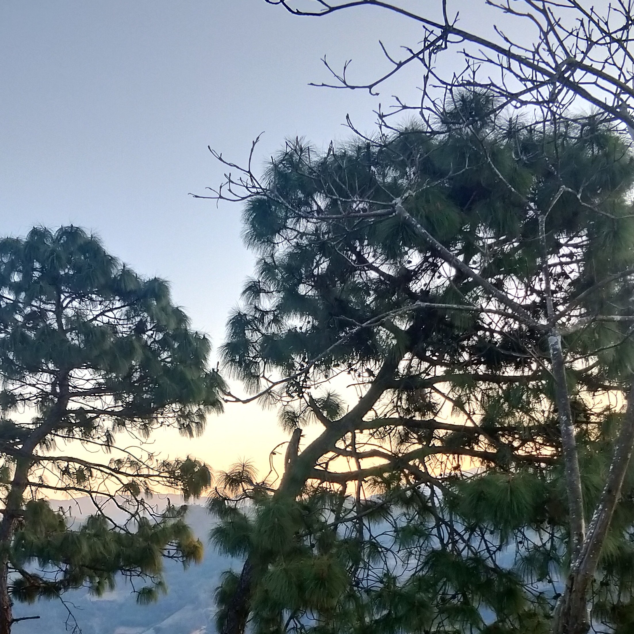 🌾谁的hei马🌴海报