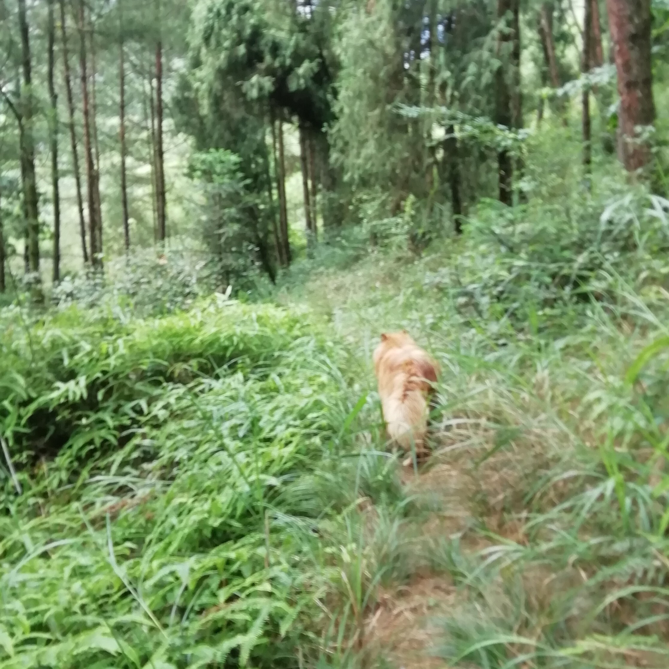 茅台…小哥海报