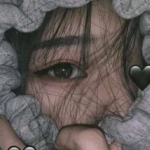 柠檬树qw海报