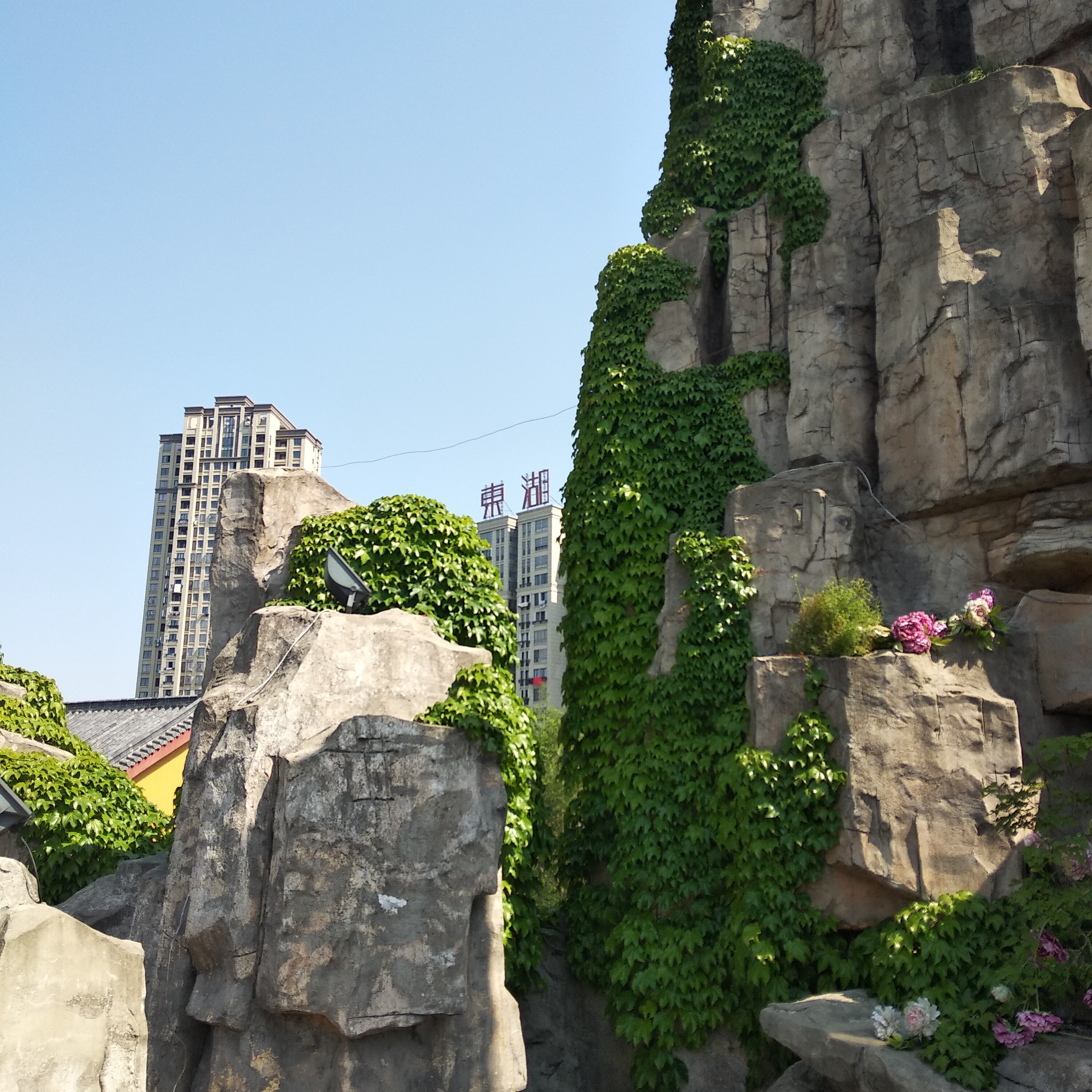 【⑥+①】→望不了海报