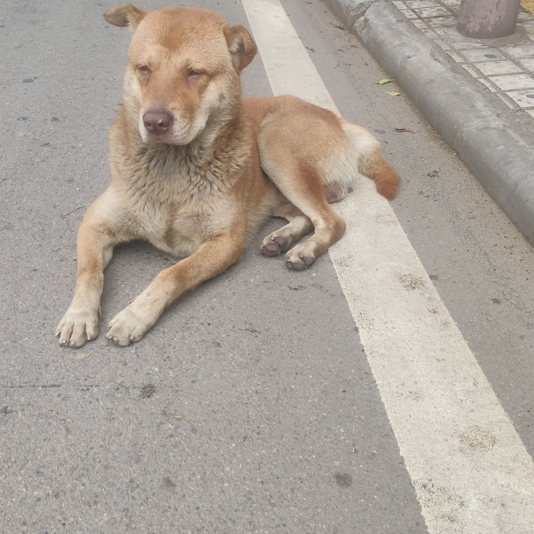 刷点吧海报