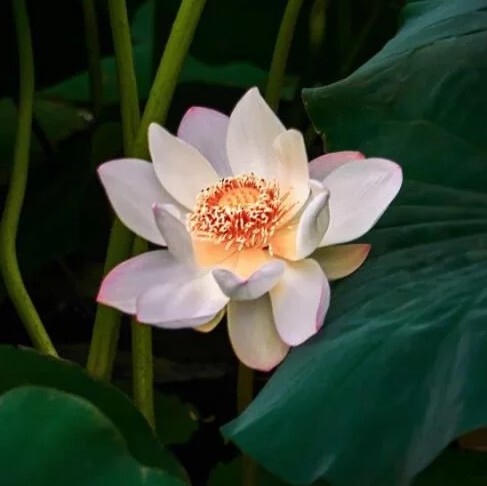 ～一世迷离～海报