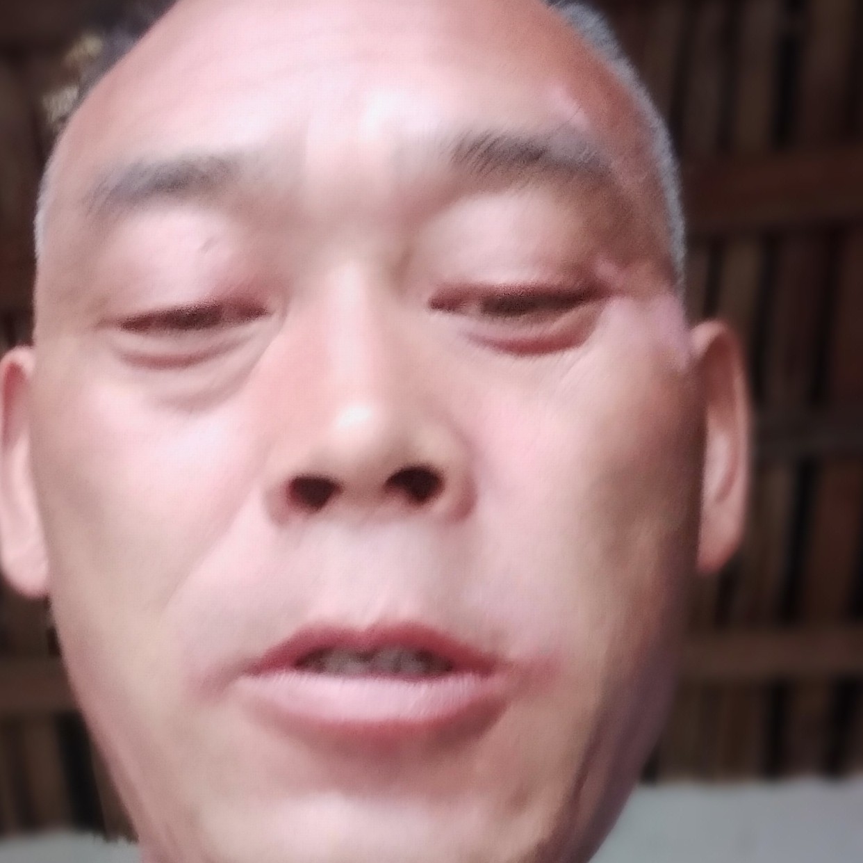 朱顶飞海报