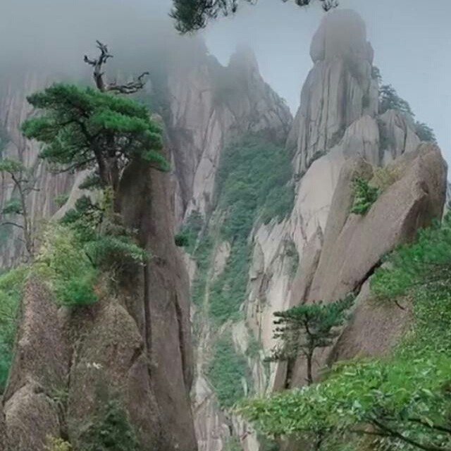 穿越；海报