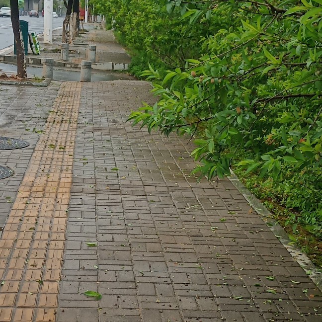 何必说何必n海报