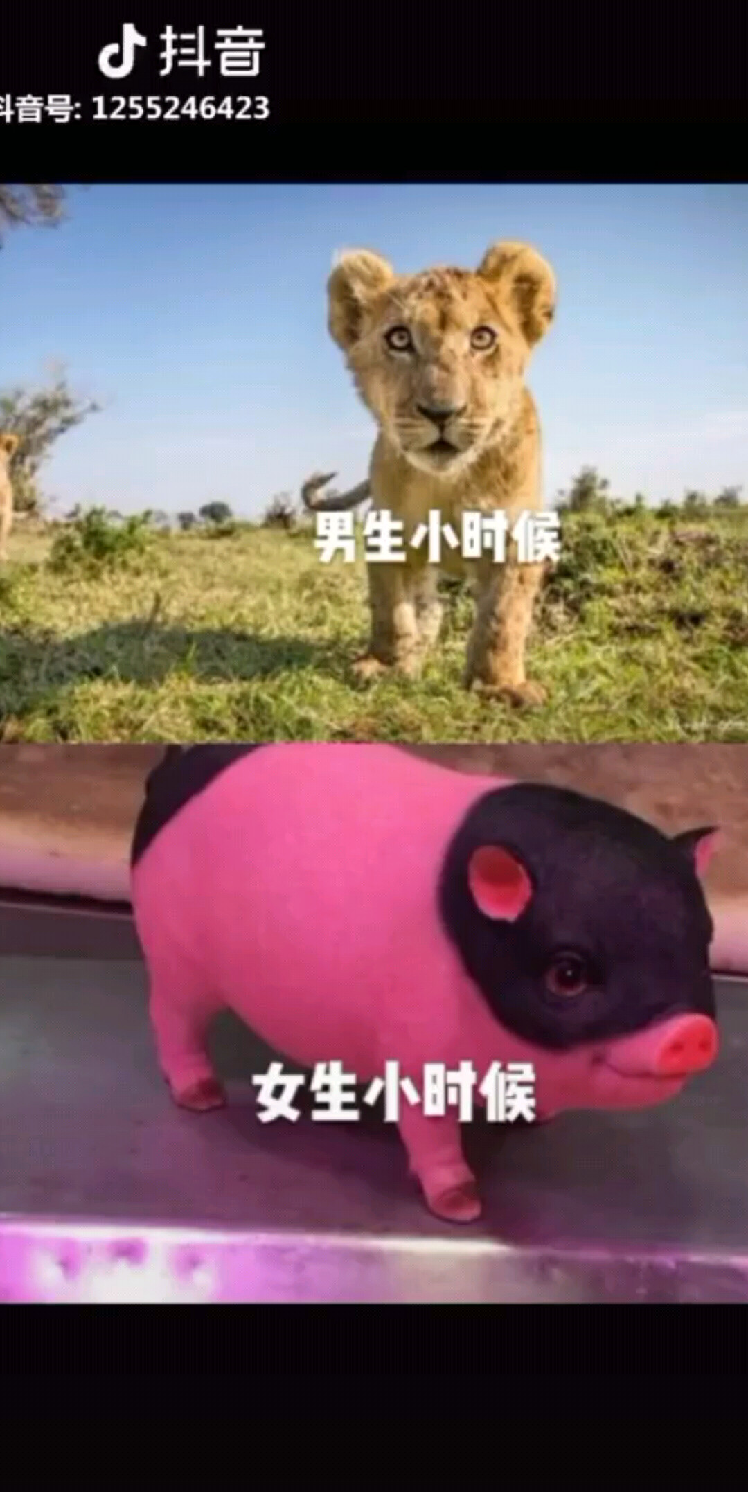 😂😂😂有人点赞吗