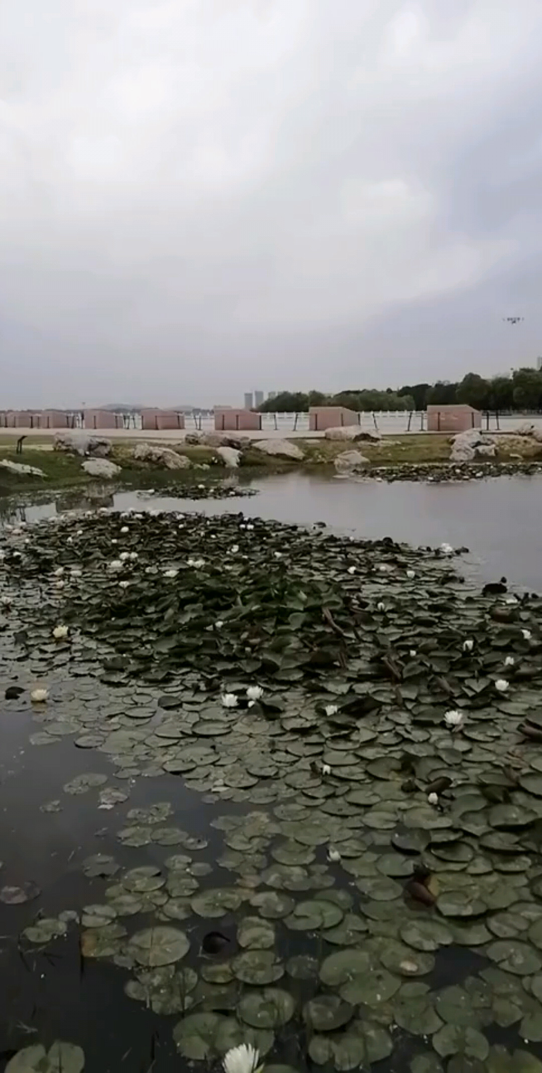 河南平顶山水库