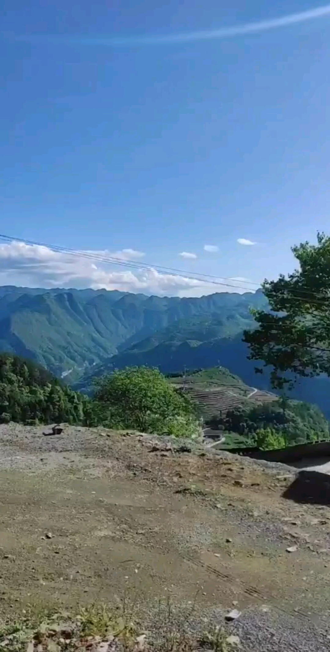 青山