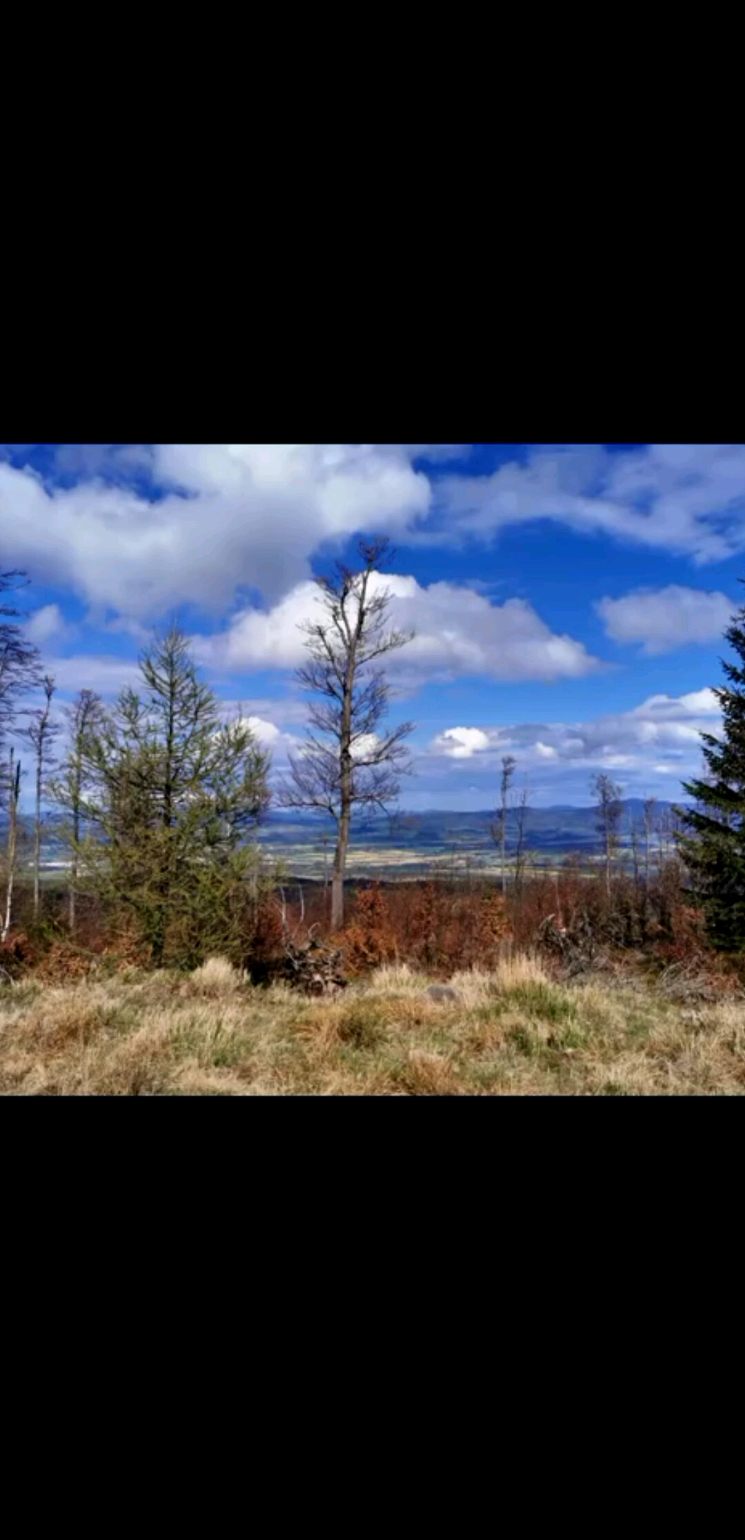 自信来源于积极的心理暗示-