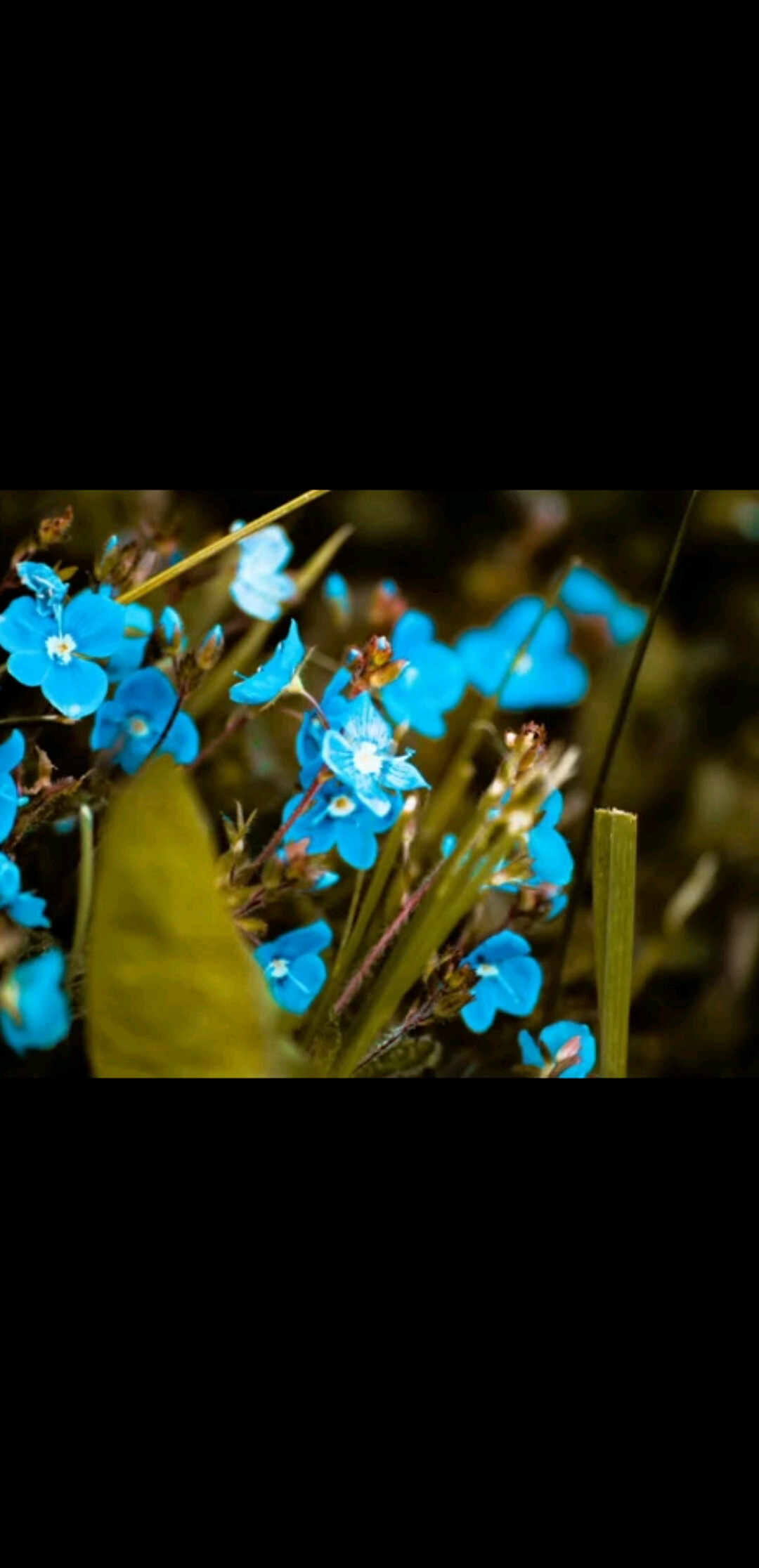 有立场有原则才有自我-卓锋固达