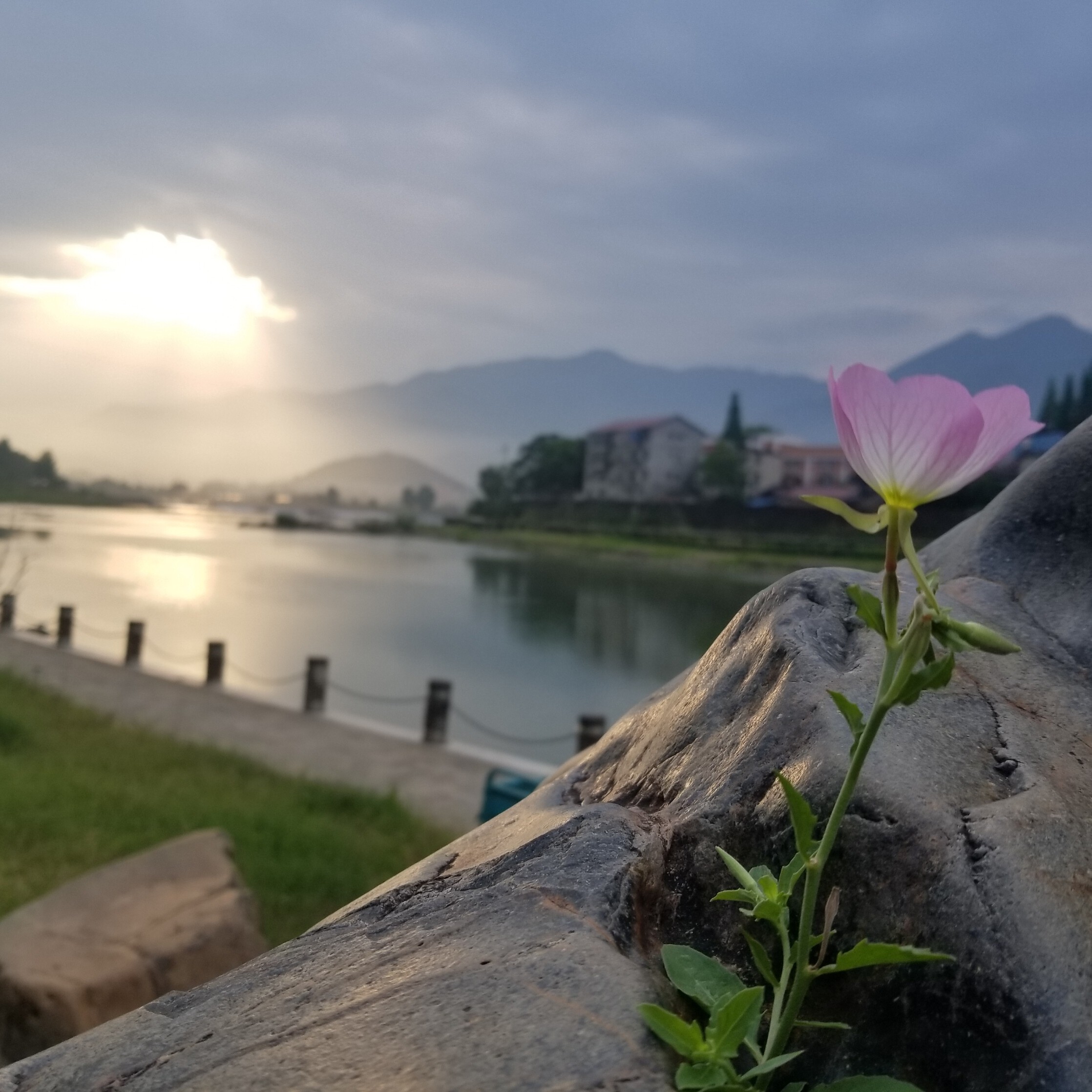 往事顺风a海报