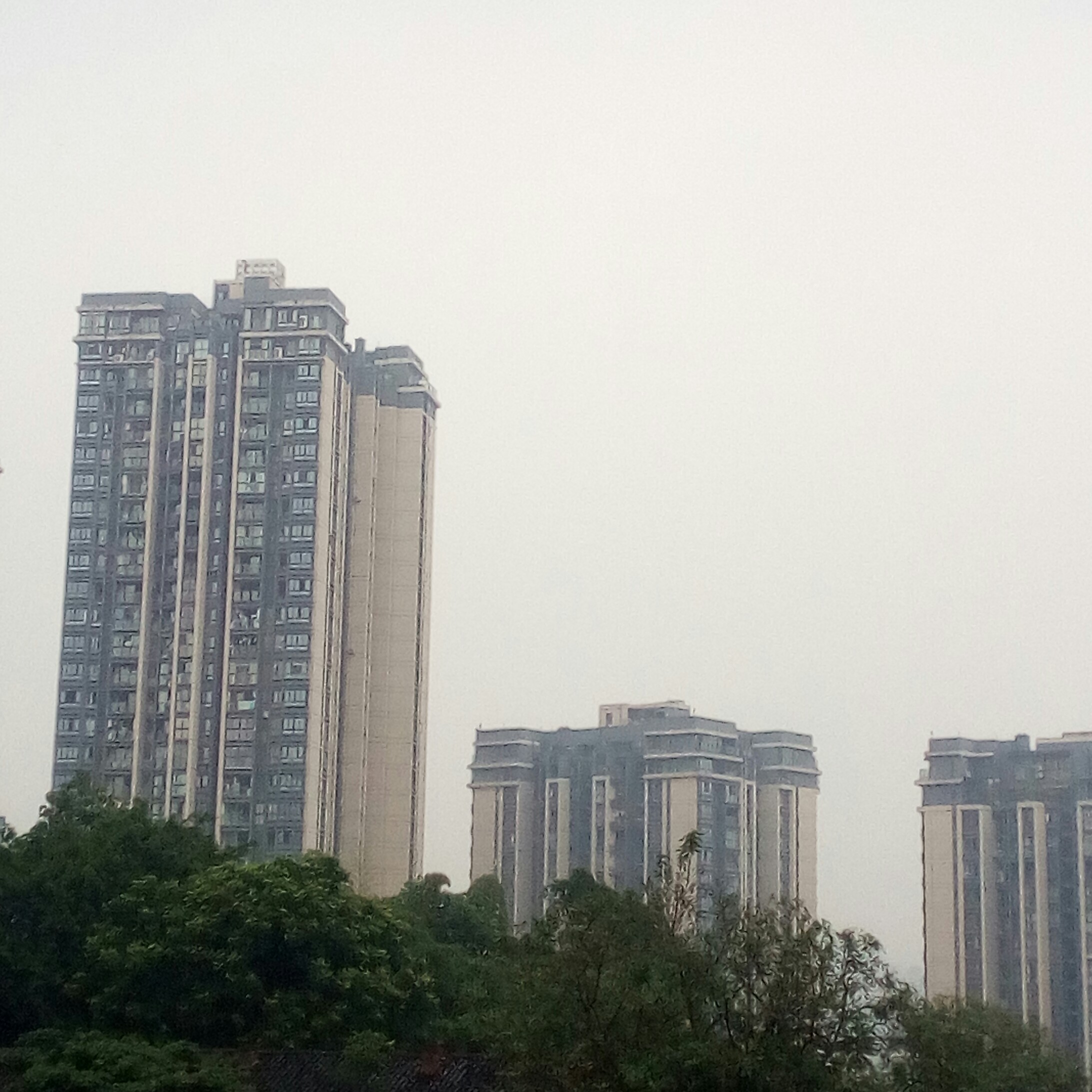 华雨缤纷海报