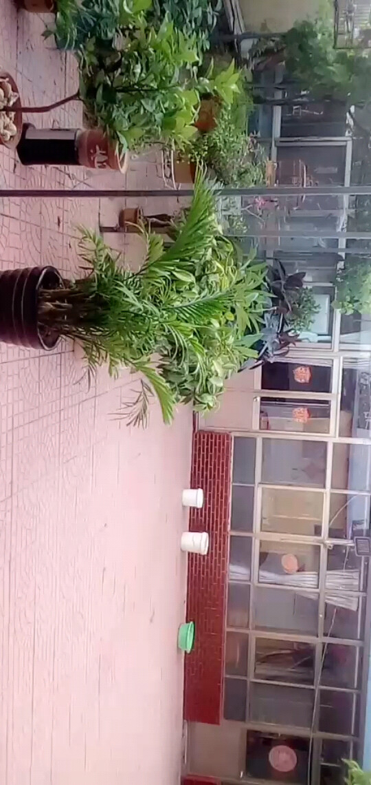 俺家哈哈哈