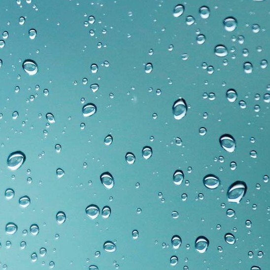 菩提树下🎶小苏苏海报
