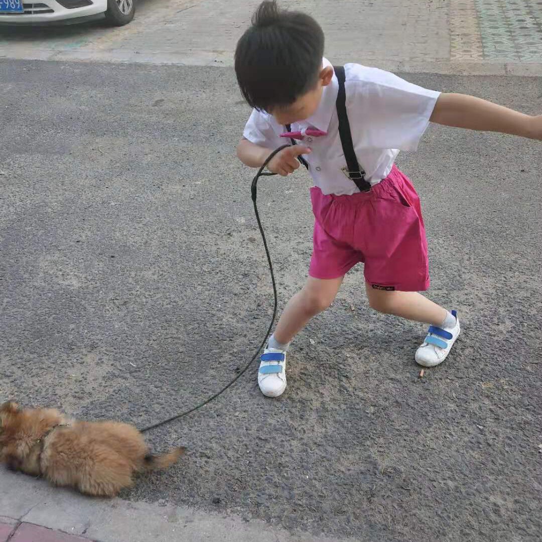 二哥永不倒海报