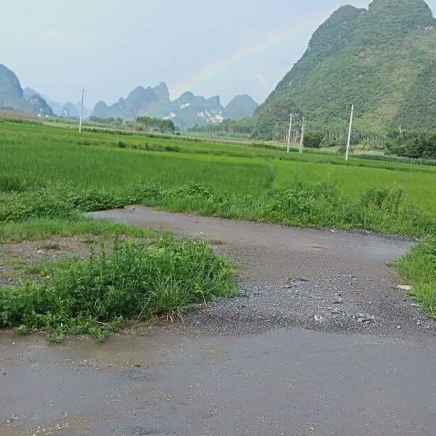 雪灵儿😍老公海报