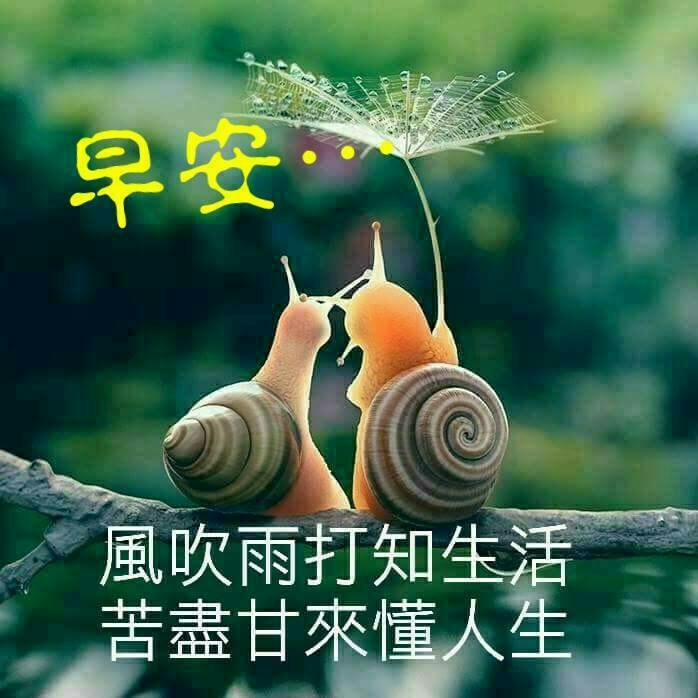 梦一场づづ海报