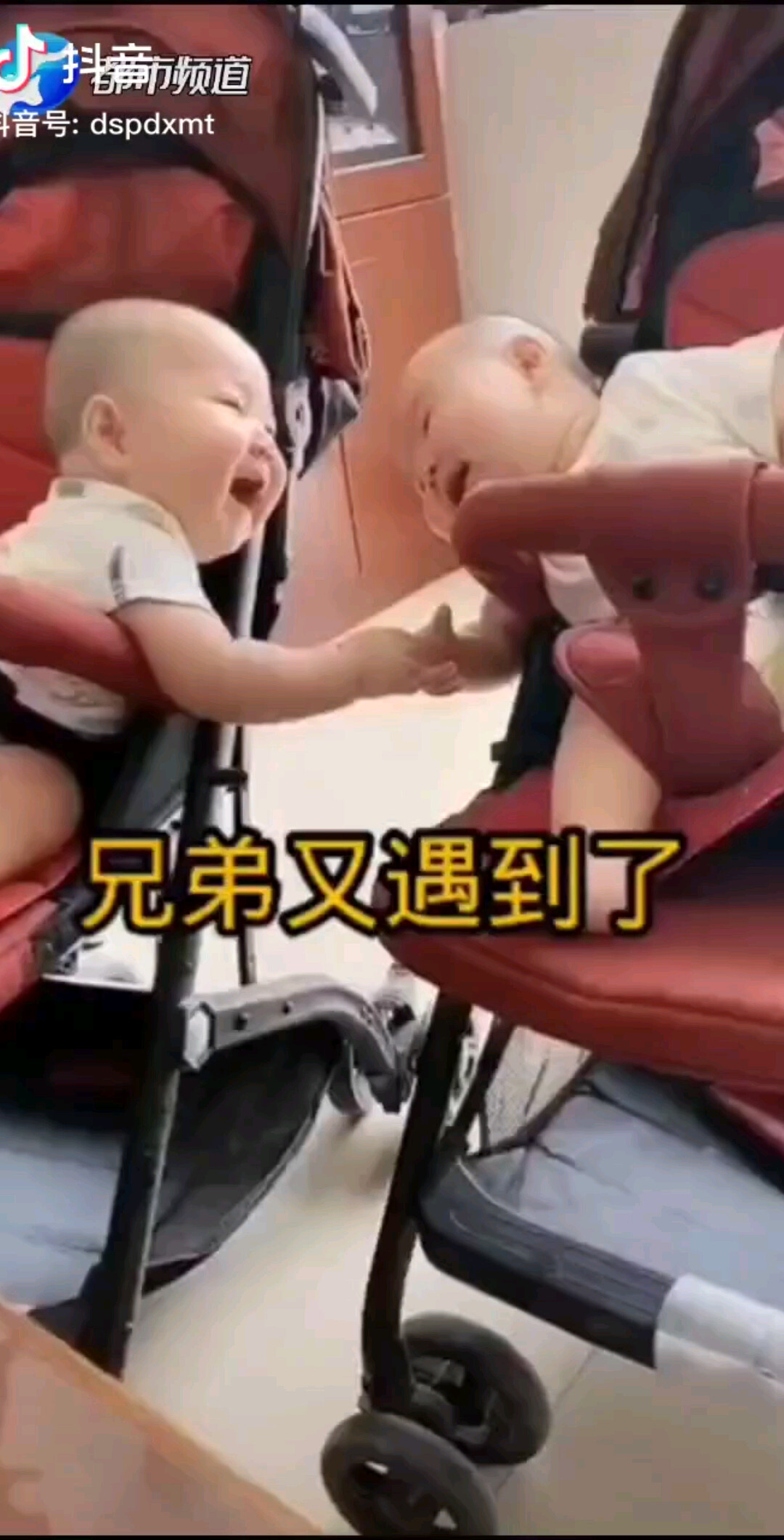 不知道干啥觉得奖学金