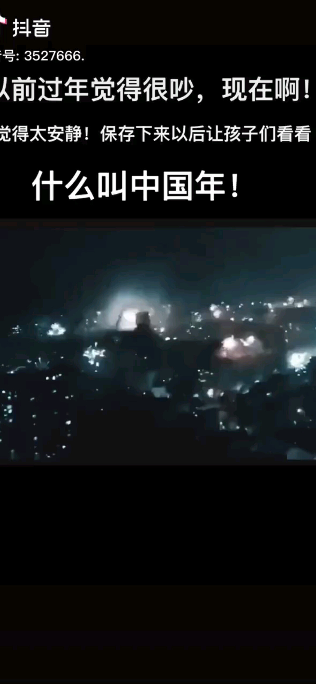 最美中国年