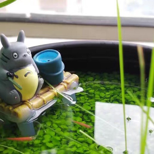 小阿俏a海报