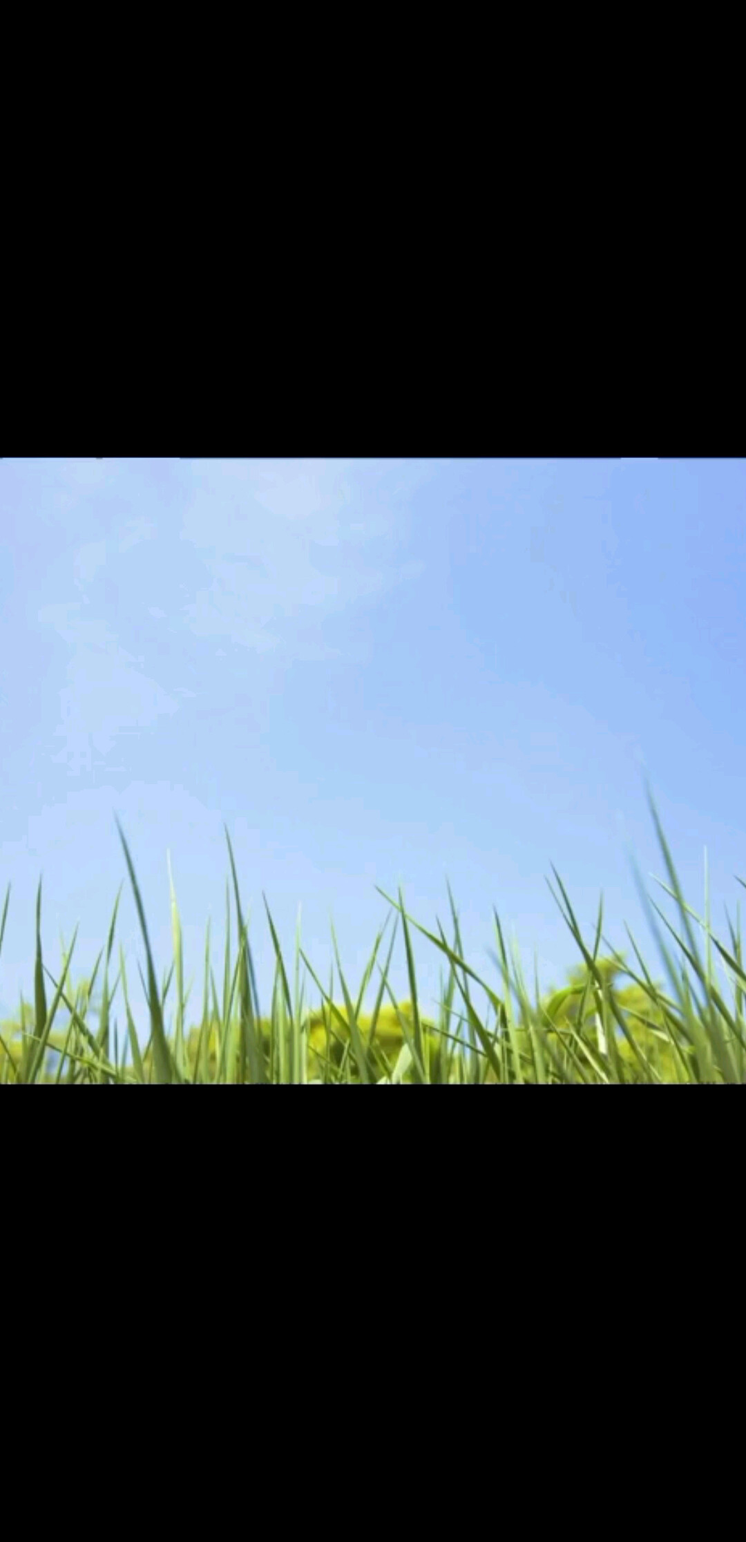 先考虑目标，再寻找方法和资源-