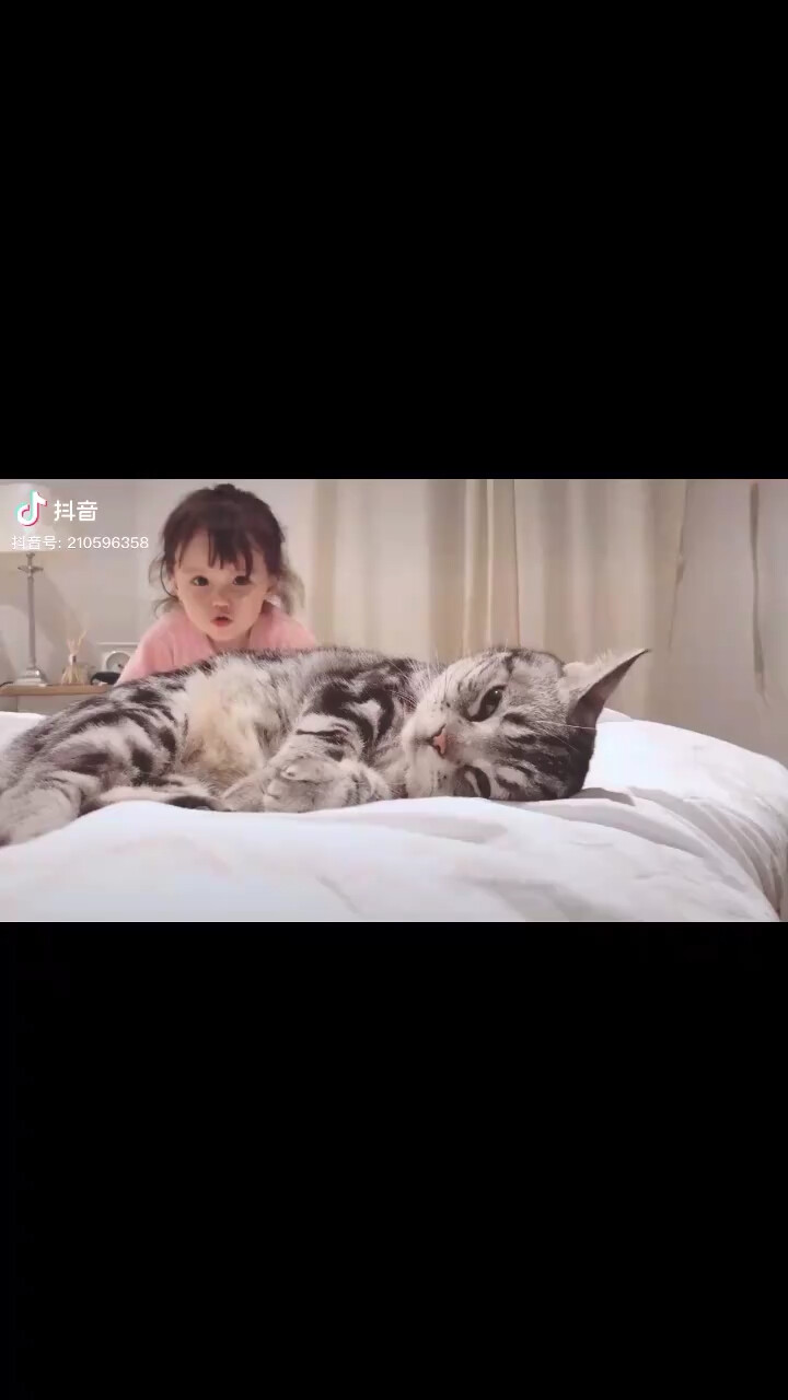 可爱🐈