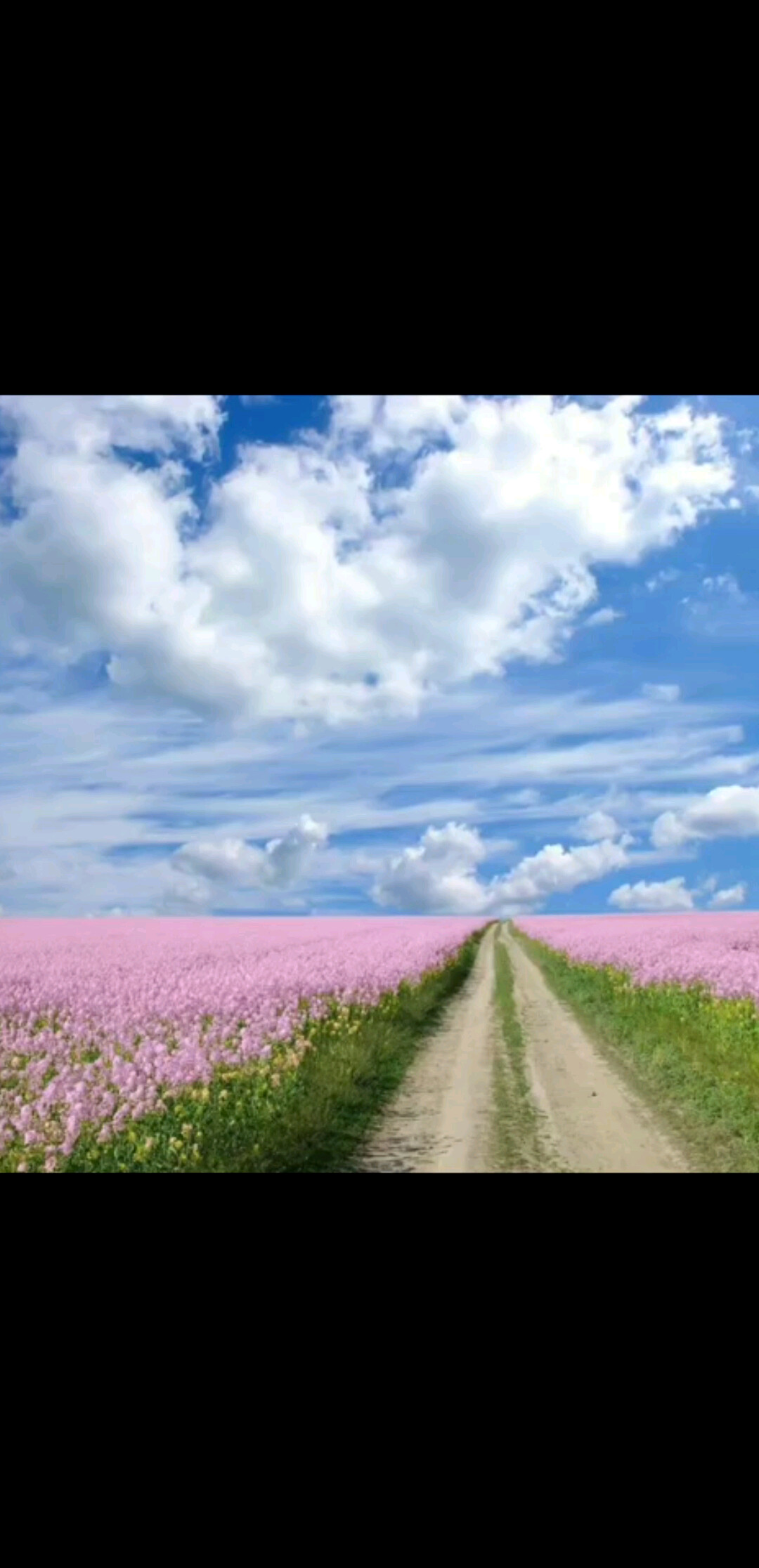 坚定已决定了的梦想-卓锋固达