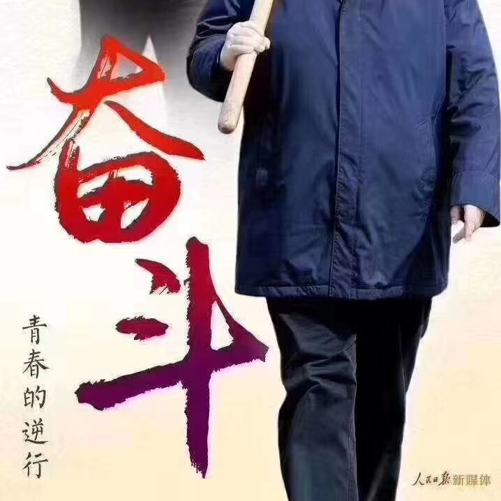 _游客_大叔海报