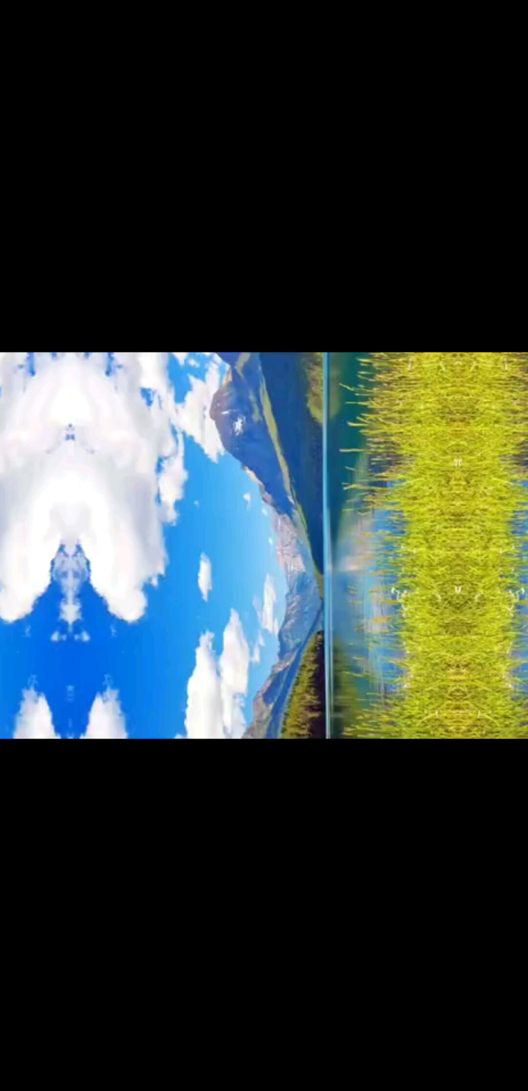 缓慢而坚定做你想做的事-卓锋