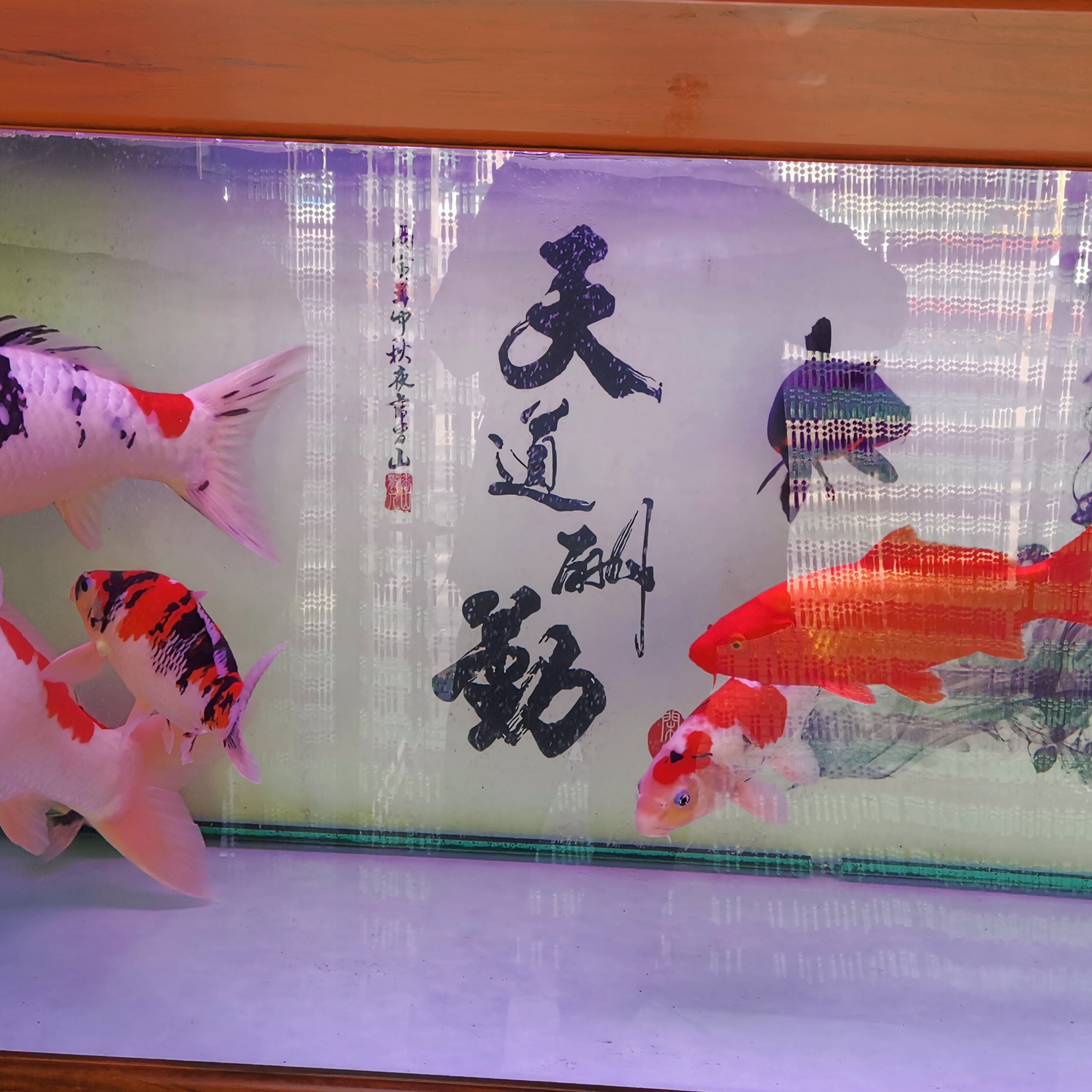 北非猎人海报