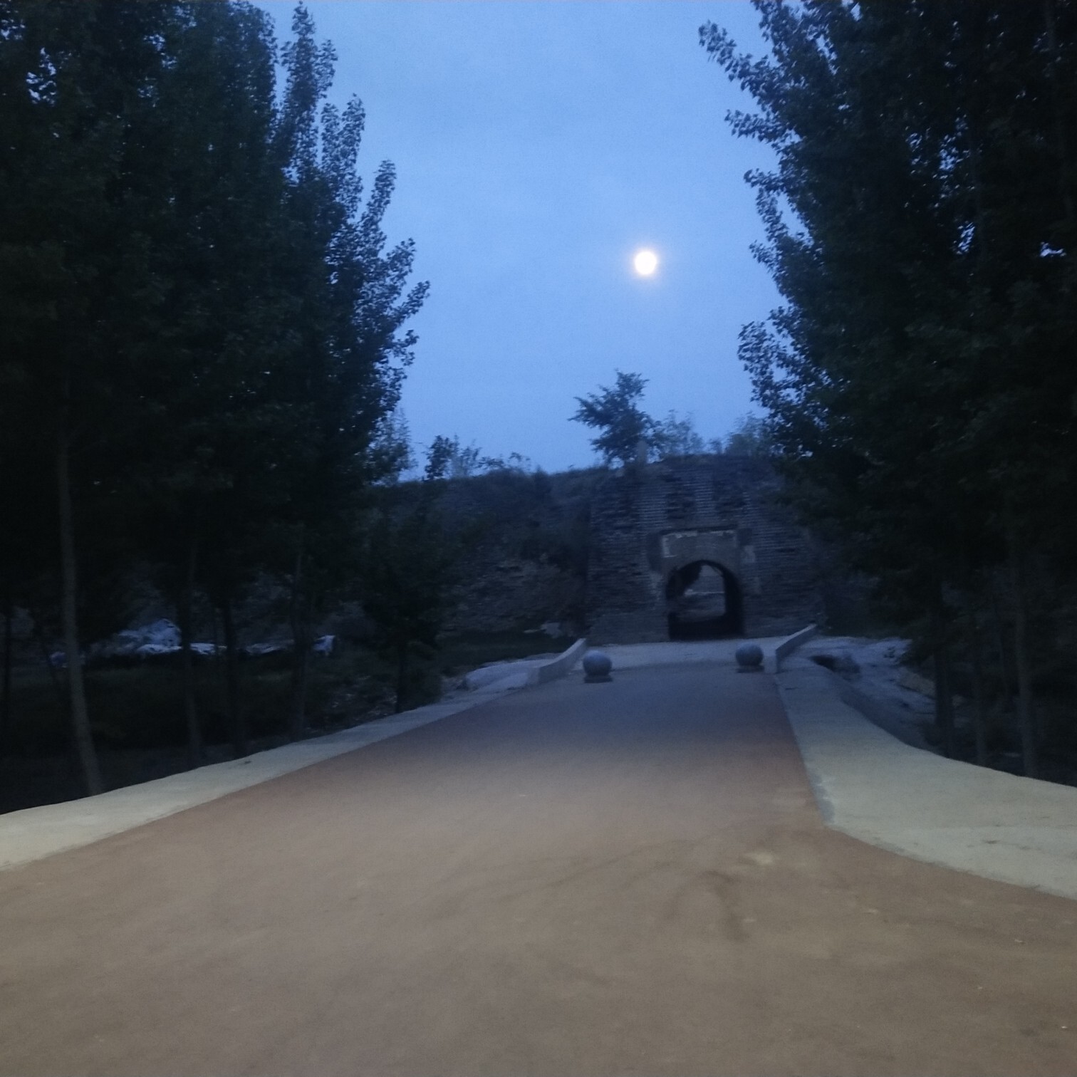👻村东桂芬海报
