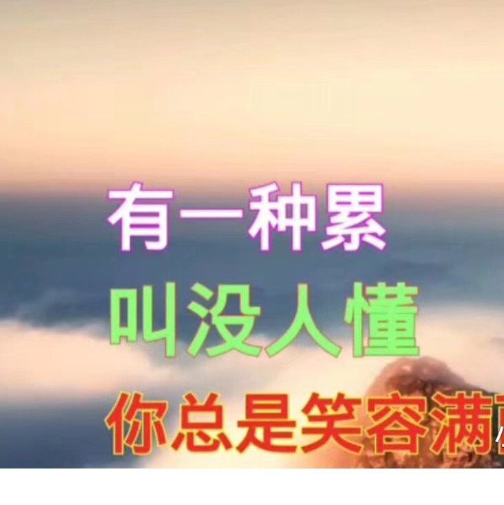 你无情哈啦少海报