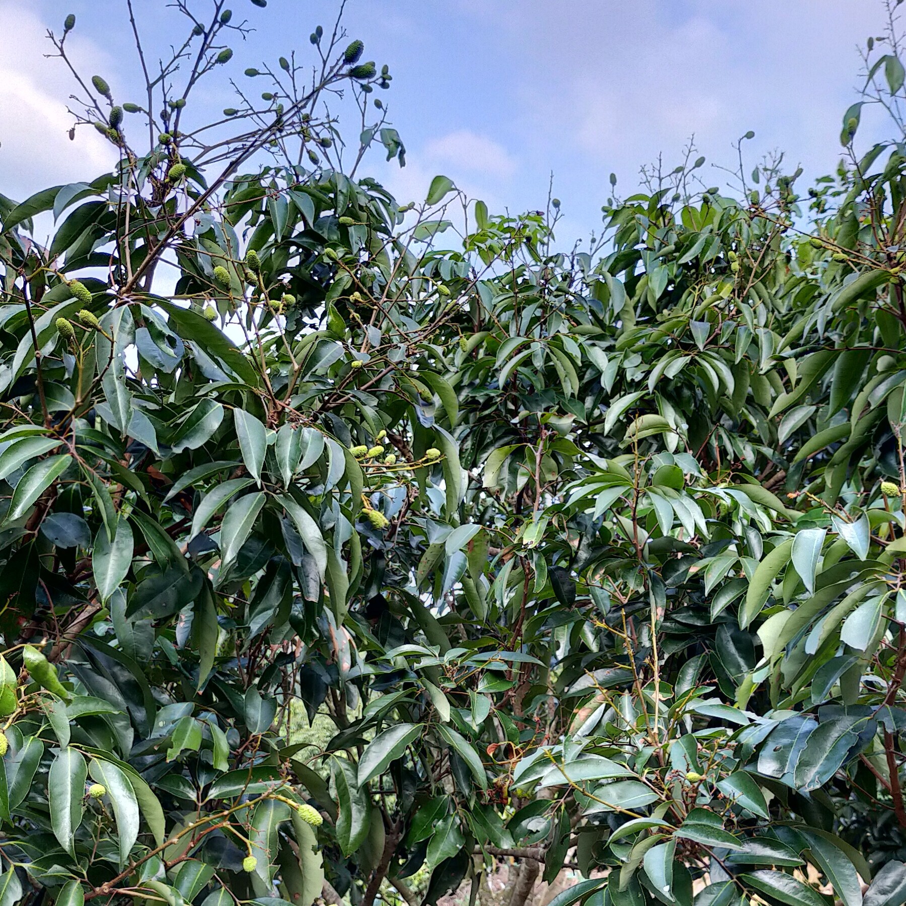 此账号已注销海报