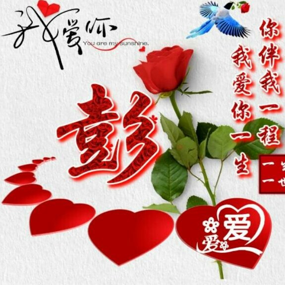 ♬吥洅留恋♛海报