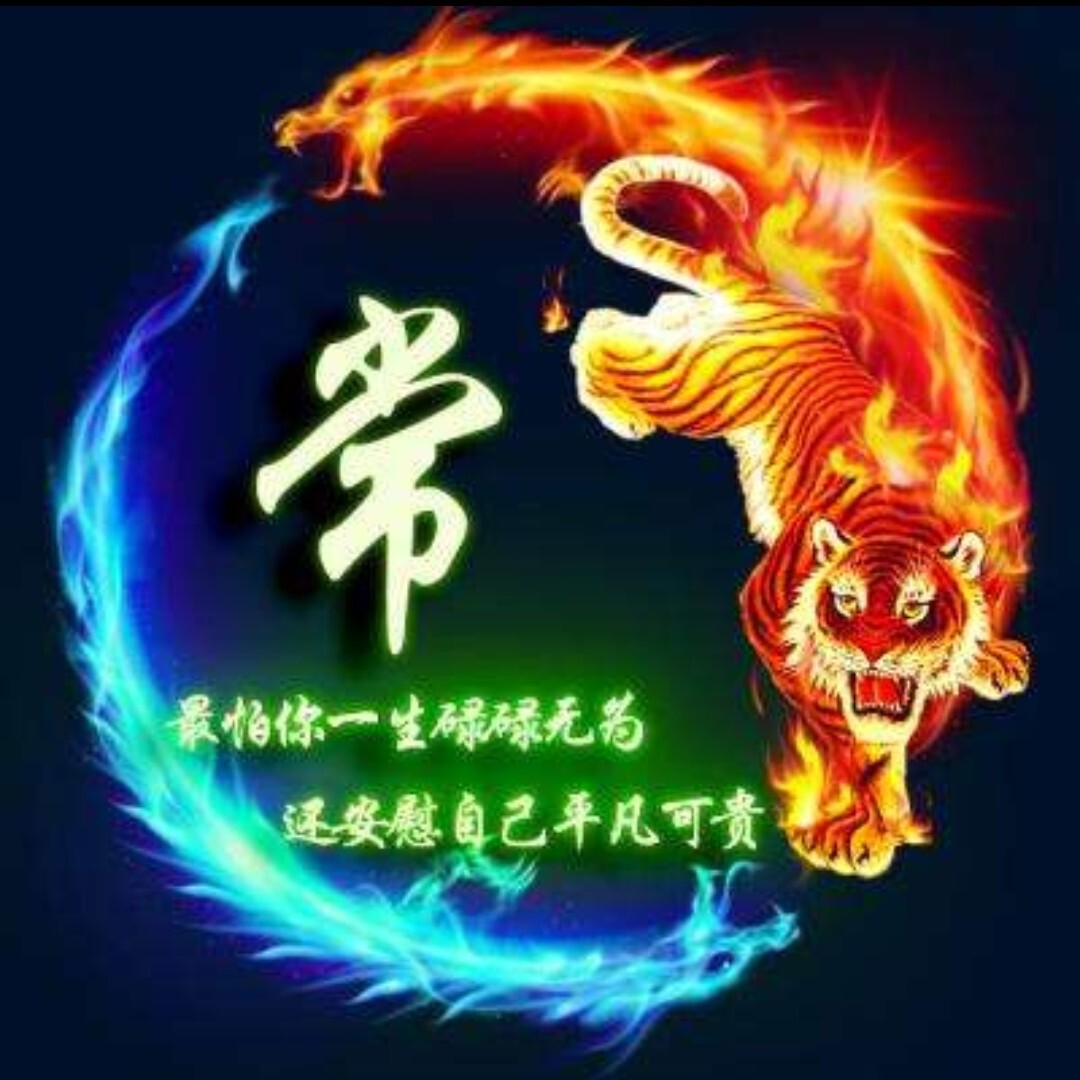 小小爪鱼海报