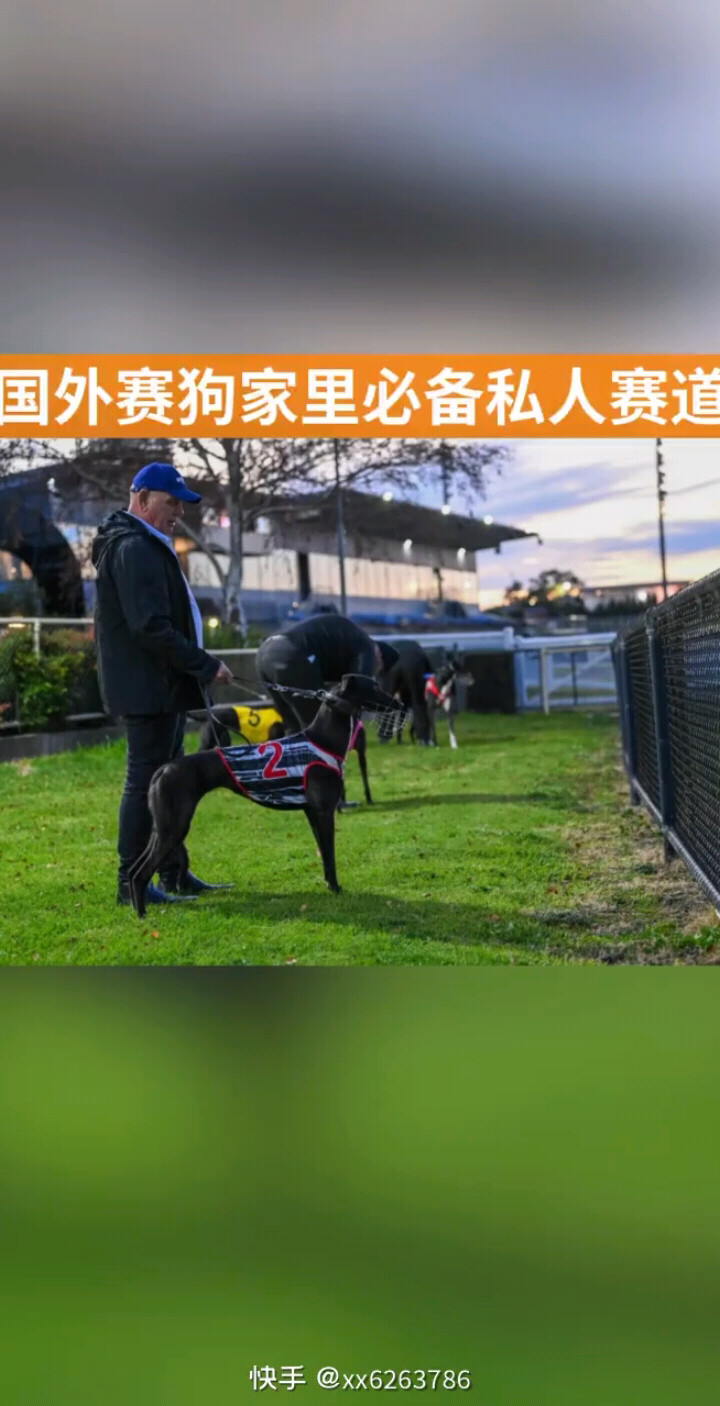 每条优秀的赛犬都经过了千锤�百练