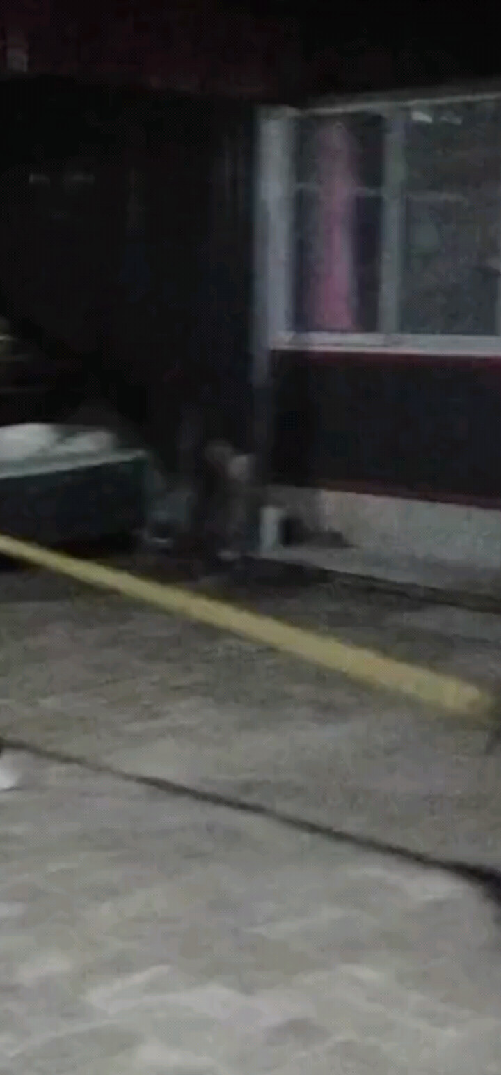 武略传世！传递武术文化。