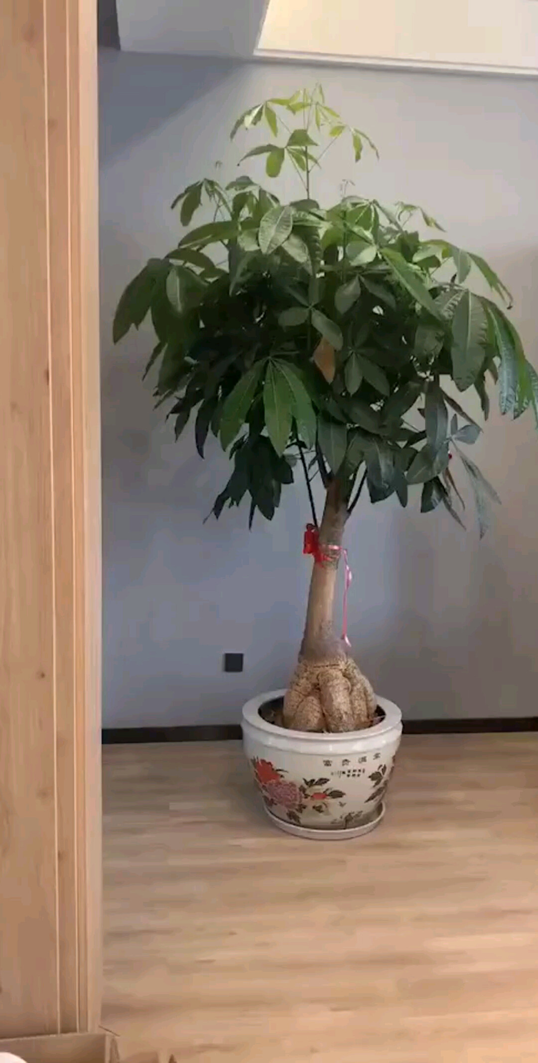 天之大