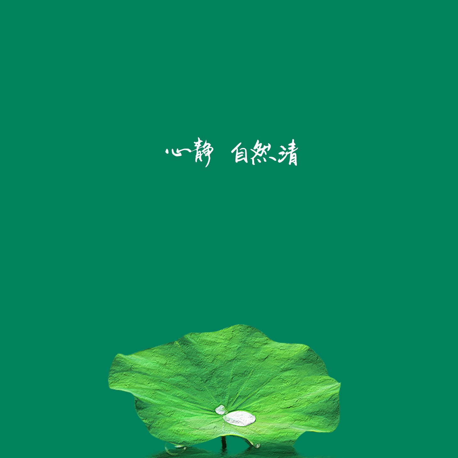 觅音者有你海报