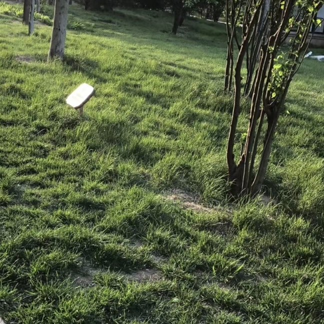 爱吃小猫的鱼n0$海报