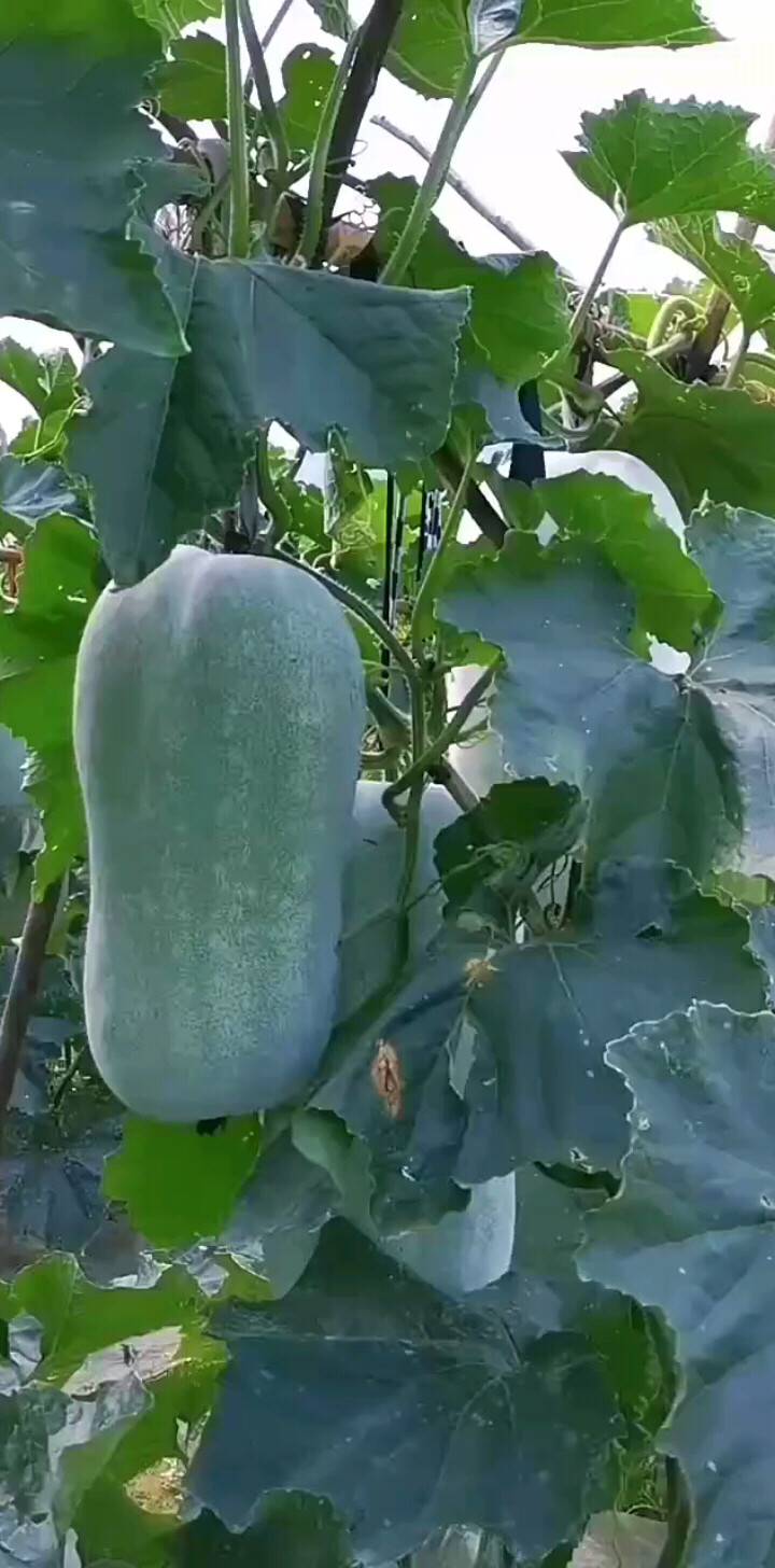 生活就是自己与自己的
