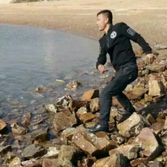 金龙51578海报