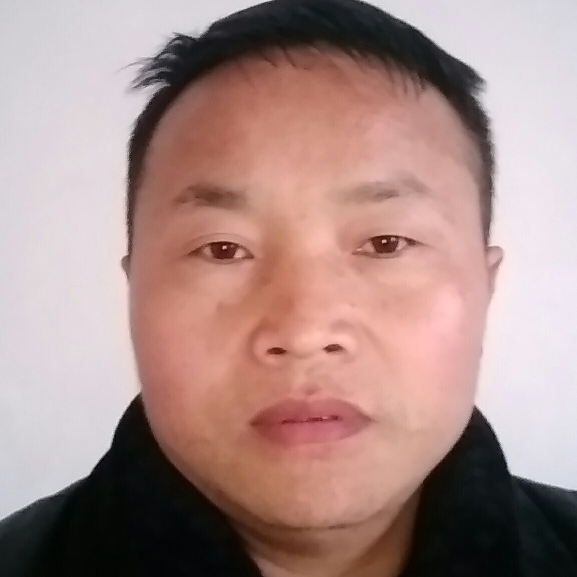 典雅的愿望海报