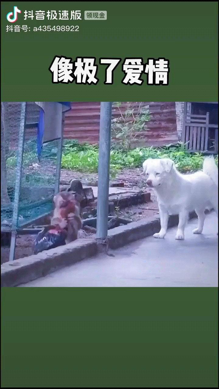 抠门色眼会嫁吗