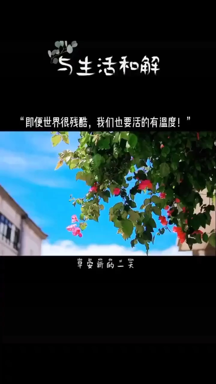 你以深情待生活生活也