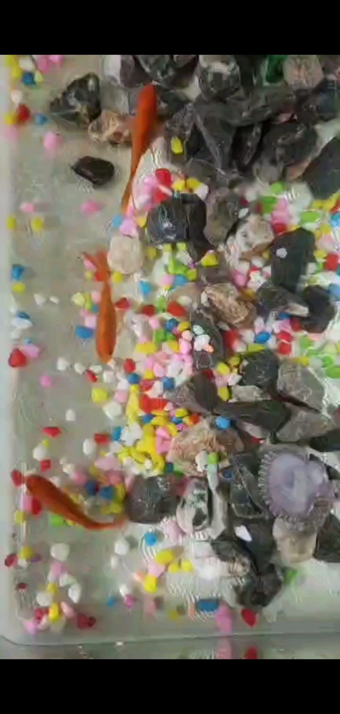 每天下播，还得伺候这