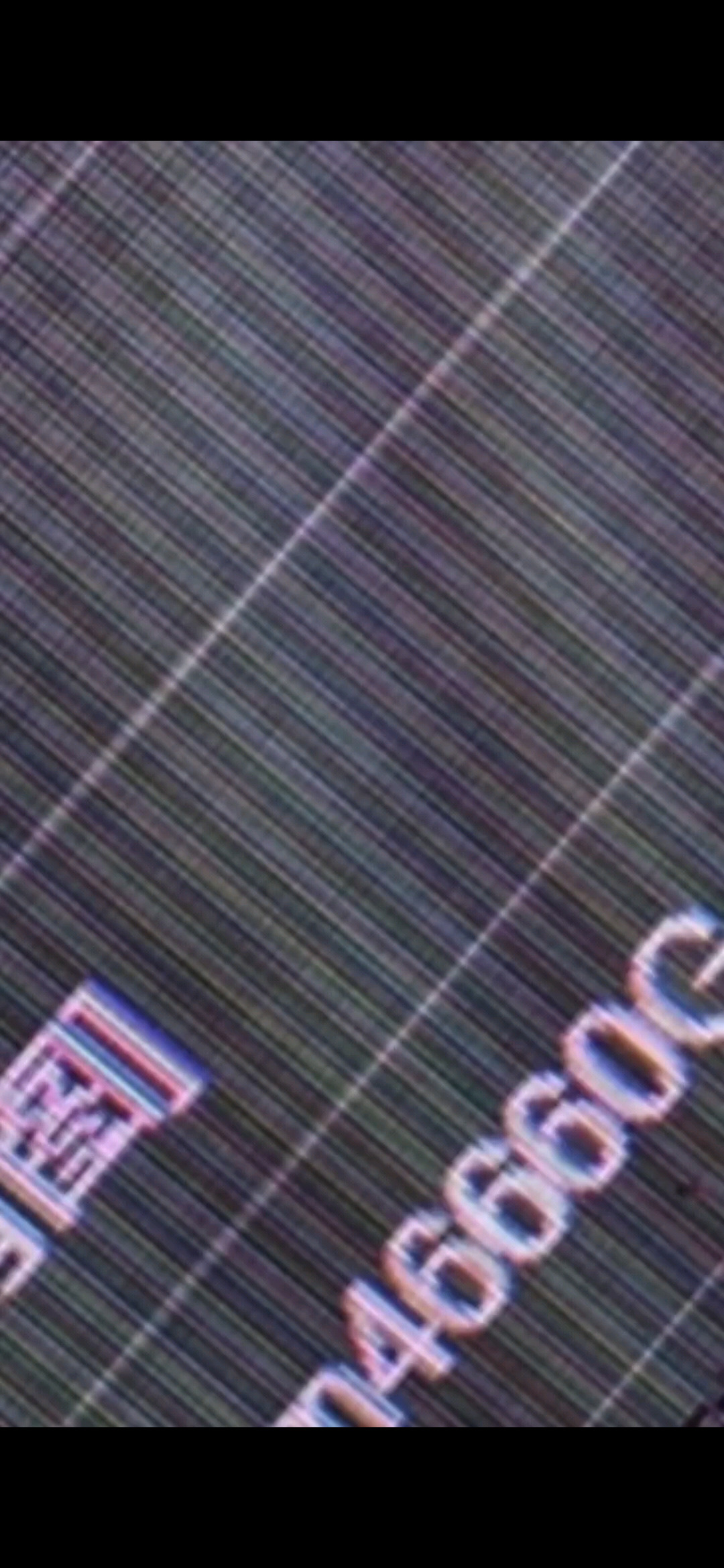 向来缘浅，奈何情深。