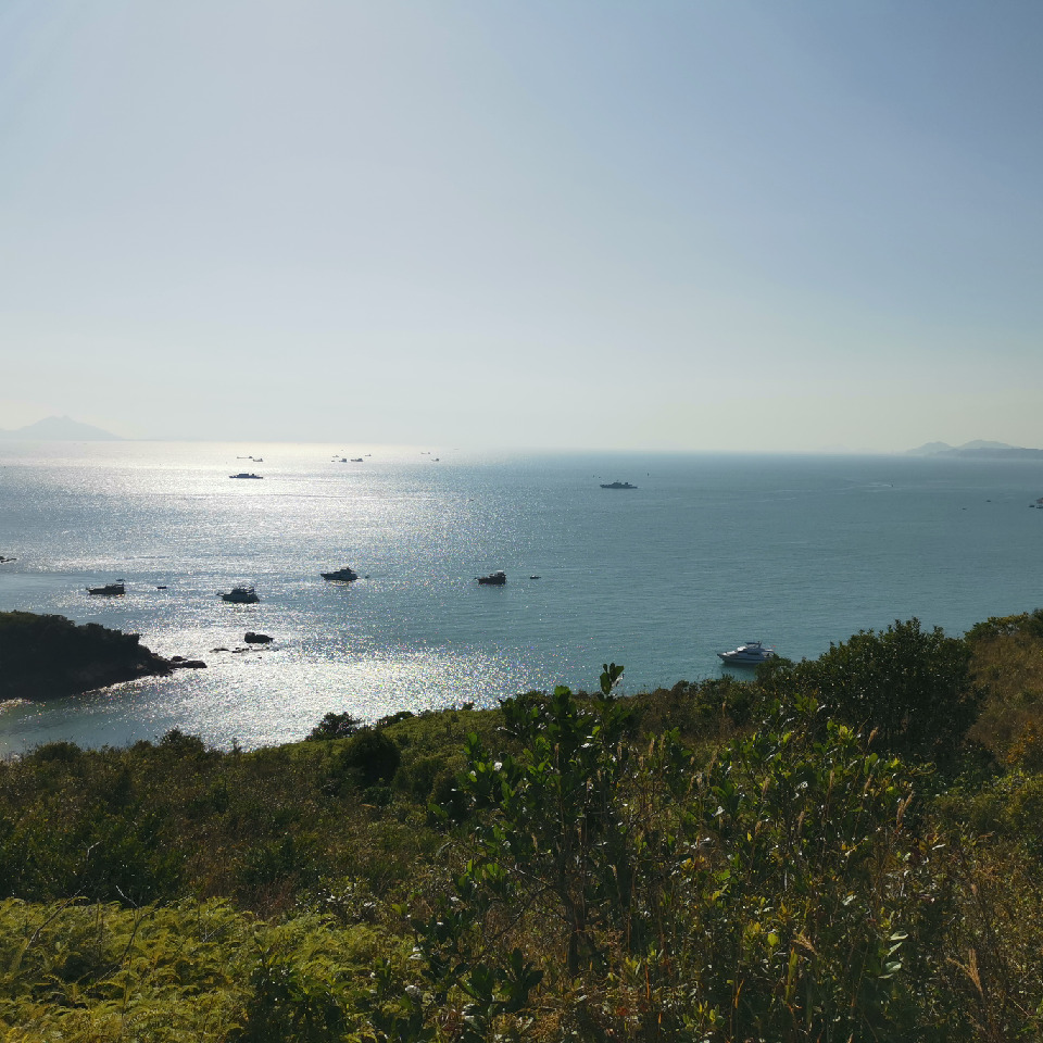 阿華東方海报
